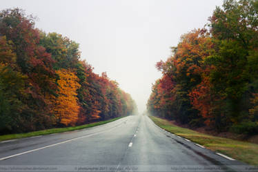 Road to Nowhere, France