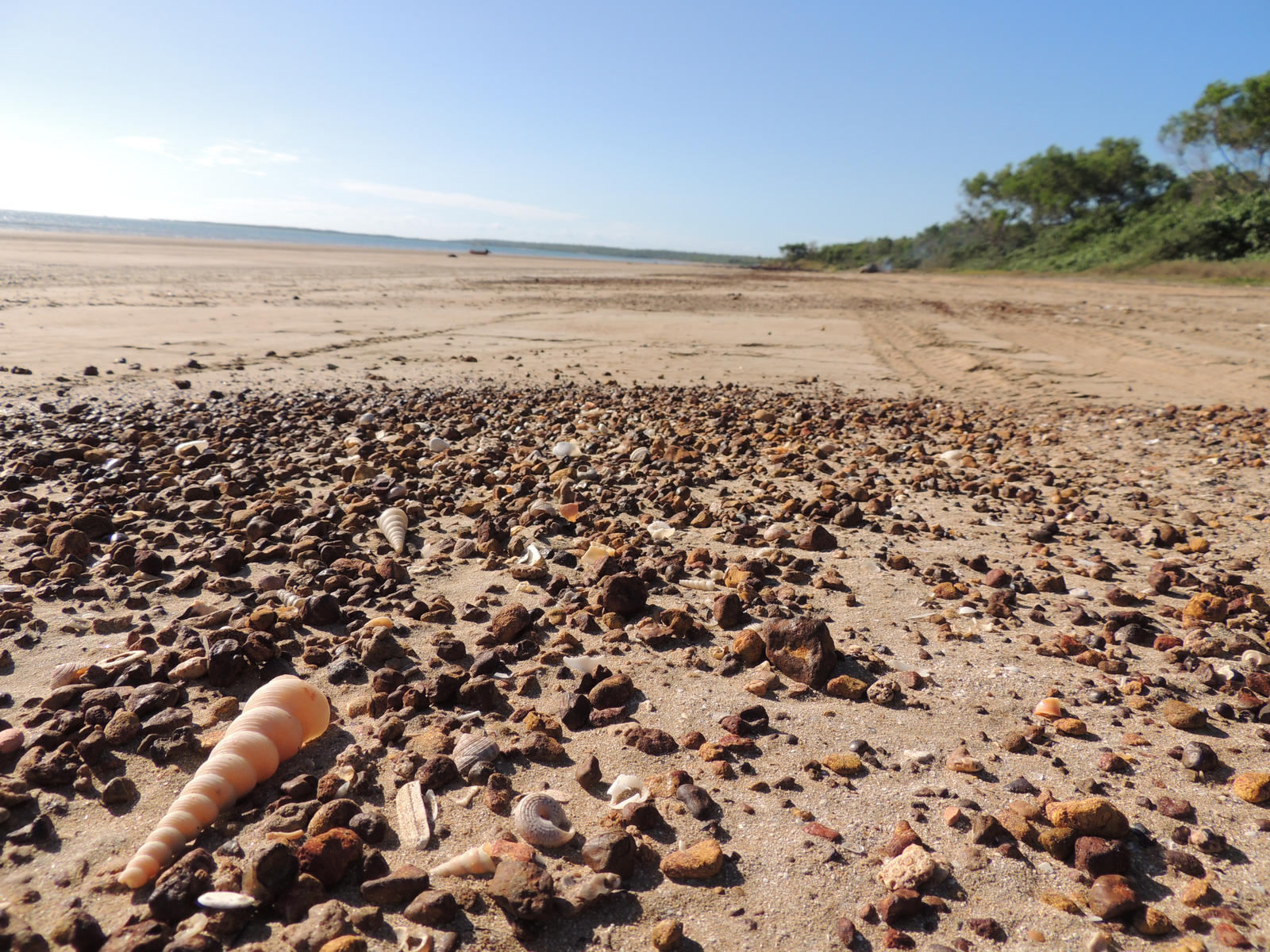 sand treasures reveled