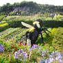 The Eden Project 04