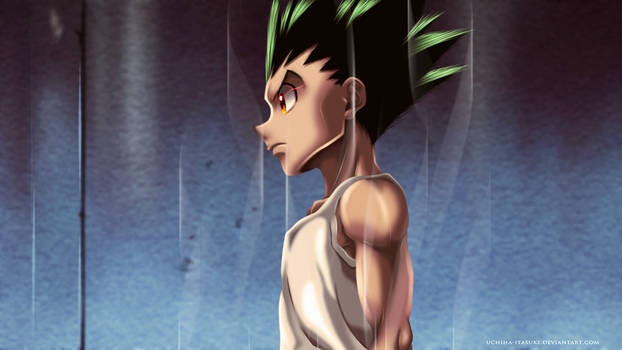 Hunter X Hunter - Gon