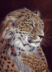 Leopard-portrait.