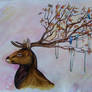 Imagination _My Dear Deer