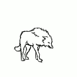 Wolf Fighting Animation (WIP)
