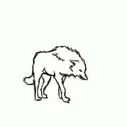 Wolf Fighting Animation (WIP)