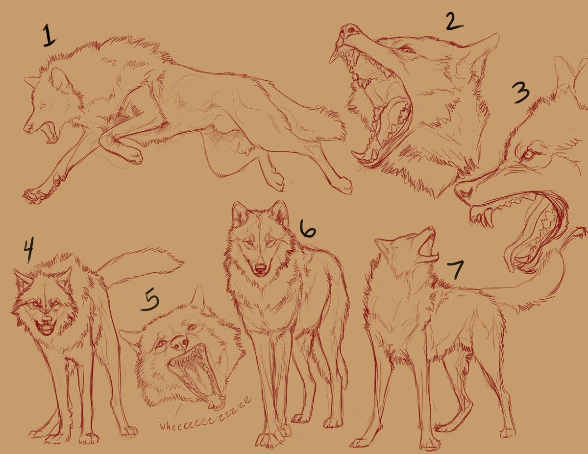 YCH Batch (2 LEFT!!)