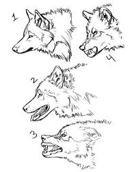 Wolf Headshots (YCH)