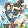 Pokemon Black and White