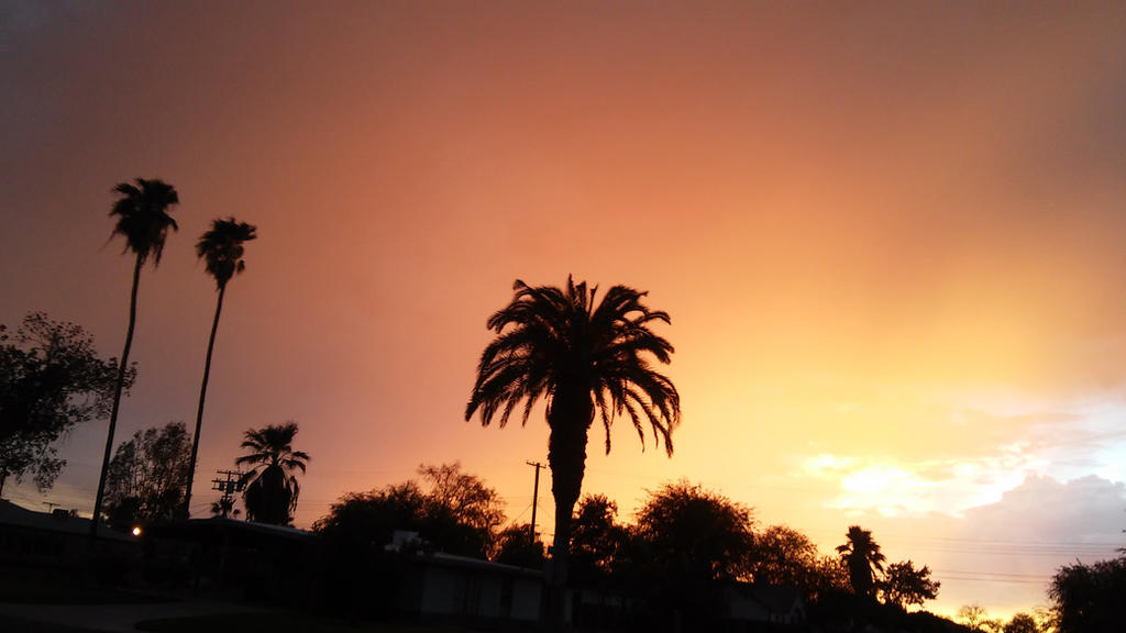 Pink and Yellow cloud