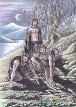 Celtic Marauders