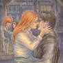 Harry and Ginny in the Leaky C