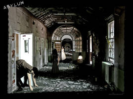 Asylum