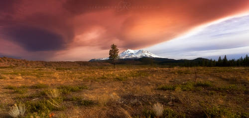 Under the Endless Calamity I Wandered by Jordan-Roberts