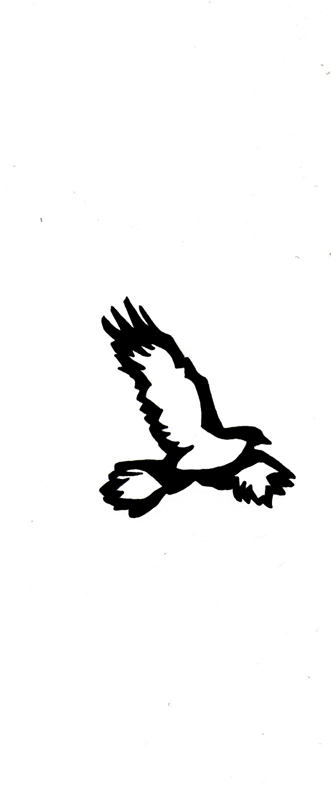 Raven Tattoo Idea