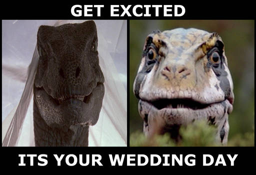 Meme- Raptor Marriage