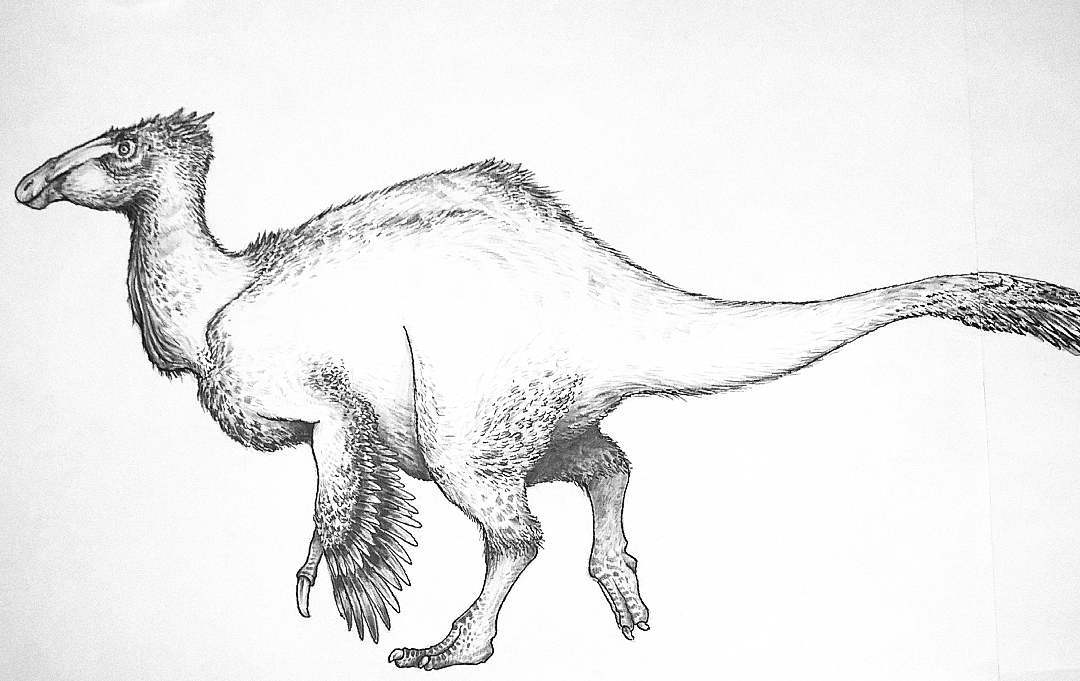 Deinocheirus