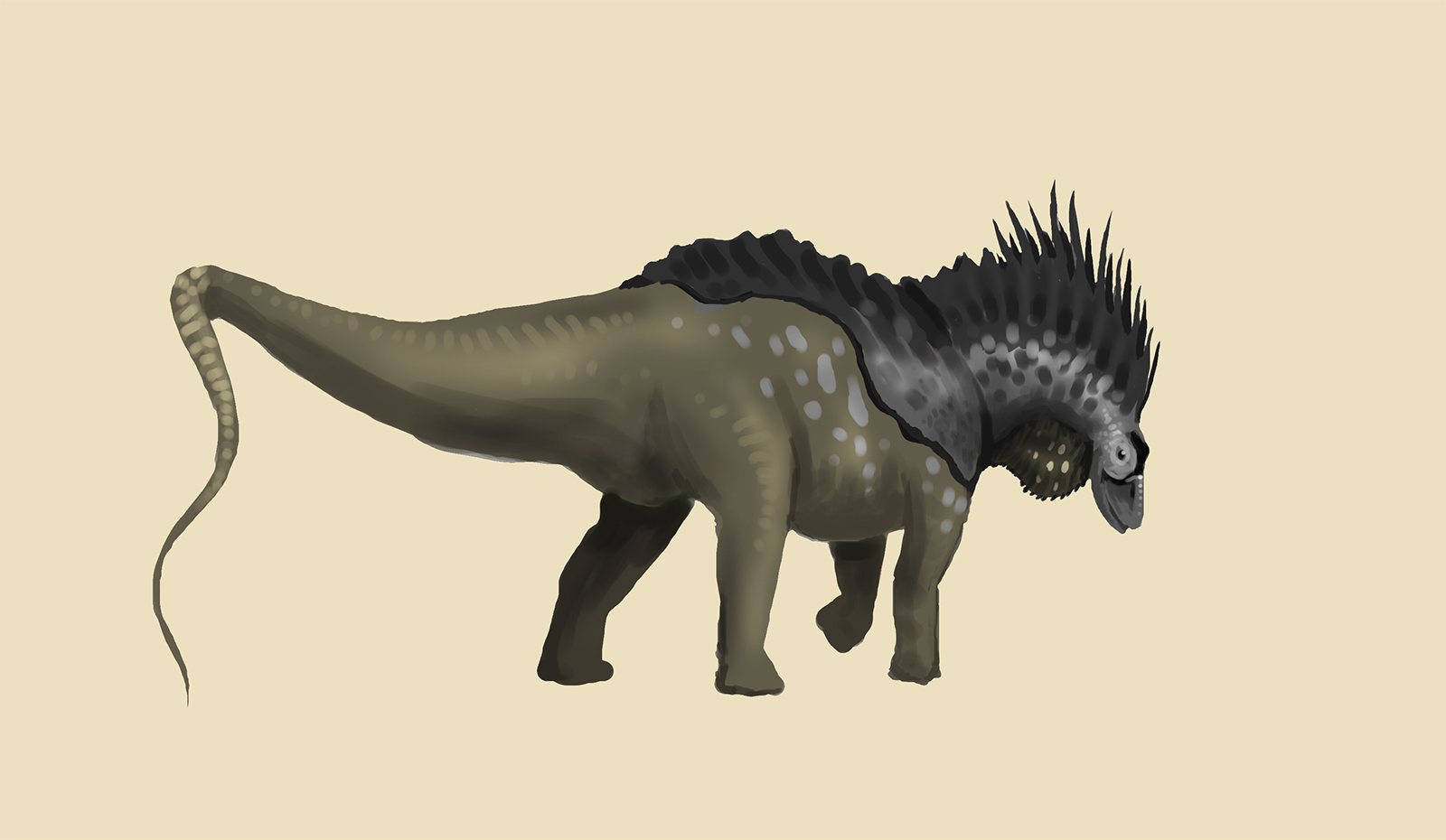 Amargasaurus Sketch