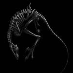 Bones (black version) by Lythroversor