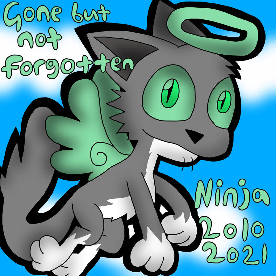A tribute to Ninja by speedy2katv2 on DeviantArt