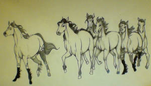 Herd of Horsies