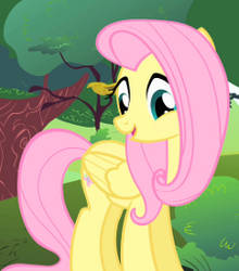 FluttershyS1E23 x256