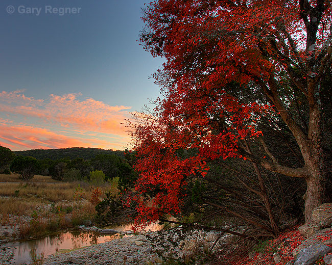 Lost Maples