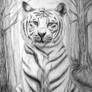 The White Tiger