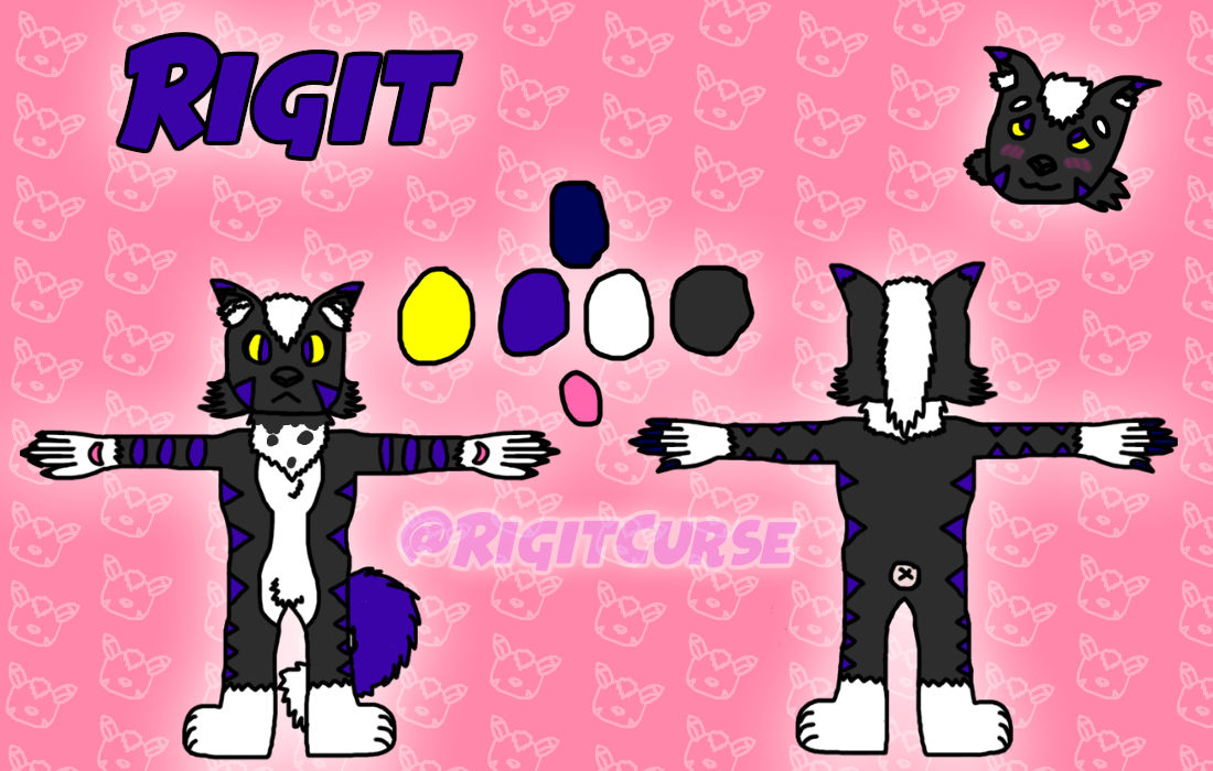 Minerva Rigit 2022 Rigit reference sheet by ManaCloak on DeviantArt