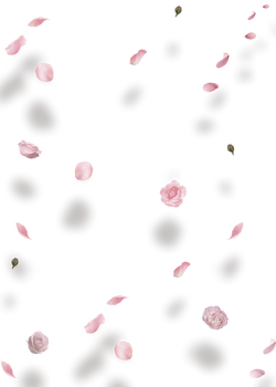 PNG #13: FLOWERS