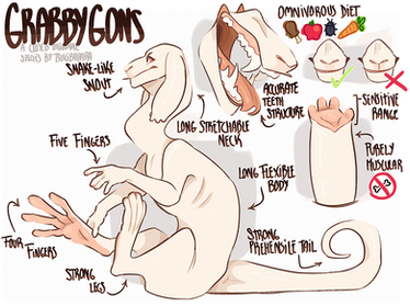 Grabbygons! Closed species - Concept sheet