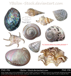 Mussels Set by YBsilon-Stock
