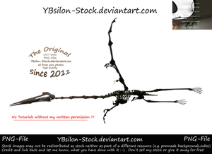 Pterosaur by YBsilon-Stock by YBsilon-Stock