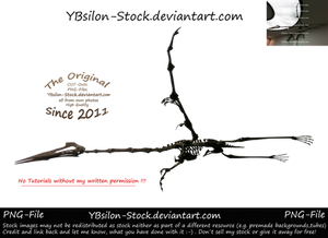 Pterosaur by YBsilon-Stock by YBsilon-Stock Pterosaur by YBsilon-Stock by YBsilon-Stock