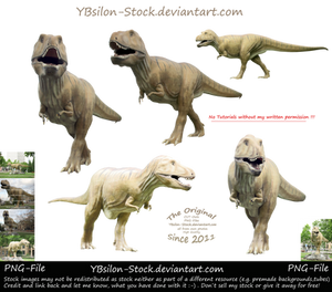 Tyrannosaurus Rex by YBsilon-Stock
