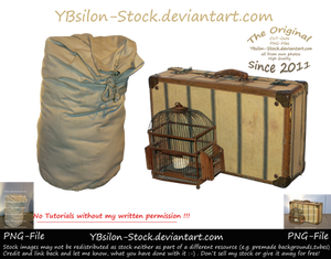 Suitcasewith Birdscag+Duffel Bag by YBsilon-Stock by YBsilon-Stock