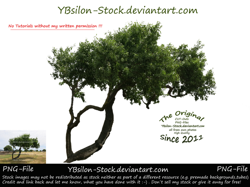 Unusual Green Tree by YBsilon-Stock by YBsilon-Stock Unusual Green Tree by YBsilon-Stock by YBsilon-Stock