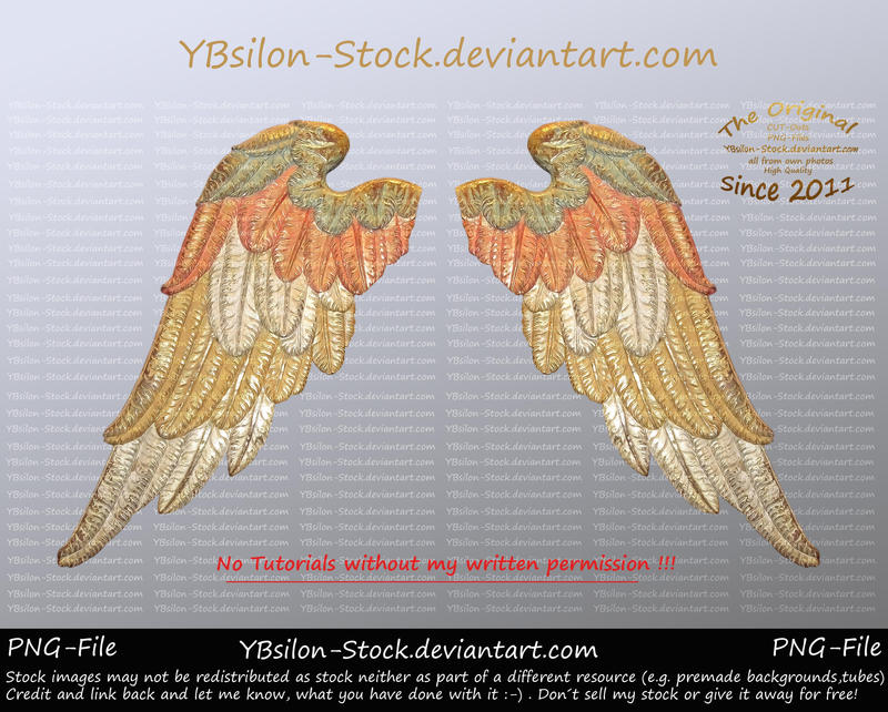 Bicoloured Wings by YBsilon-Stock by YBsilon-Stock