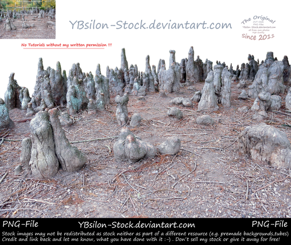 Roots by YBsilon-Stock by YBsilon-Stock