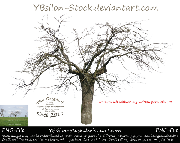 Bare-Branched Tree by YBsilon-Stock