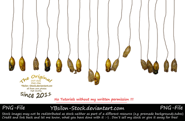 Cocoons on line by YBsilon-Stock by YBsilon-Stock Cocoons on line by YBsilon-Stock by YBsilon-Stock