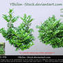 Green-Bushes by YBsilon-Stock