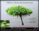 Little unusual Tree by YBsilon-Stock