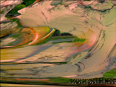 Head of Lettuce 09