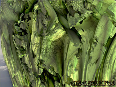 Head of Lettuce 03
