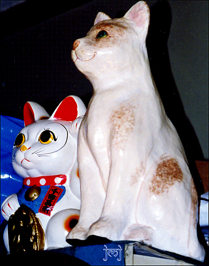 Manekineko and Siamese Cat