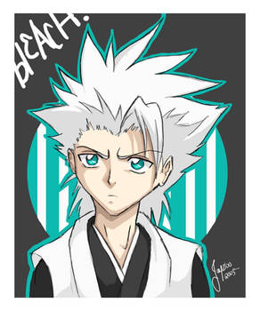 hitsugaya-kun