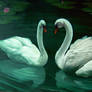 A pair of white swans