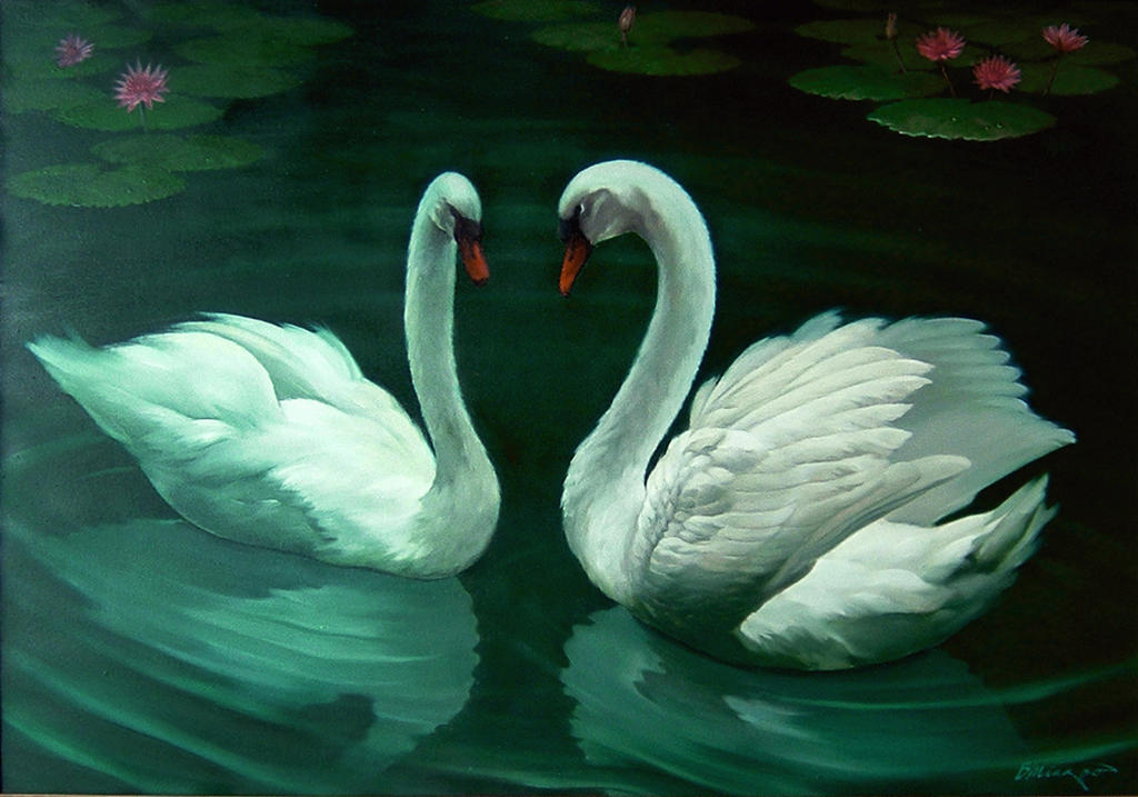 A pair of white swans by BambangMiyarso A pair of white swans by BambangMiyarso