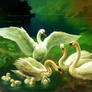 White swans