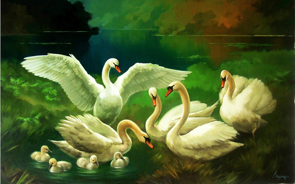 White swans by BambangMiyarso