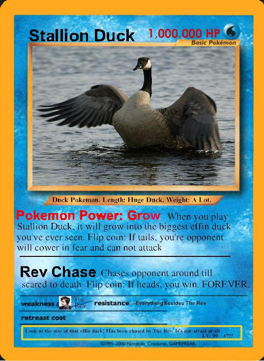 Stallion Duck Pokemon Card By Nightmarexpunk On Deviantart